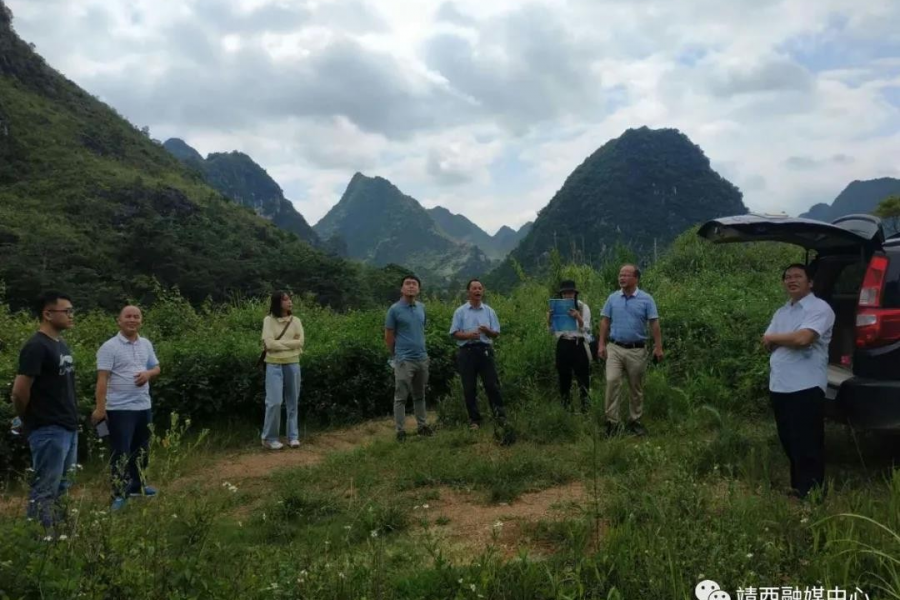 靖西市化峒、龙临、禄峒、地州镇级污水项目开工 - 靖西市·靖西网