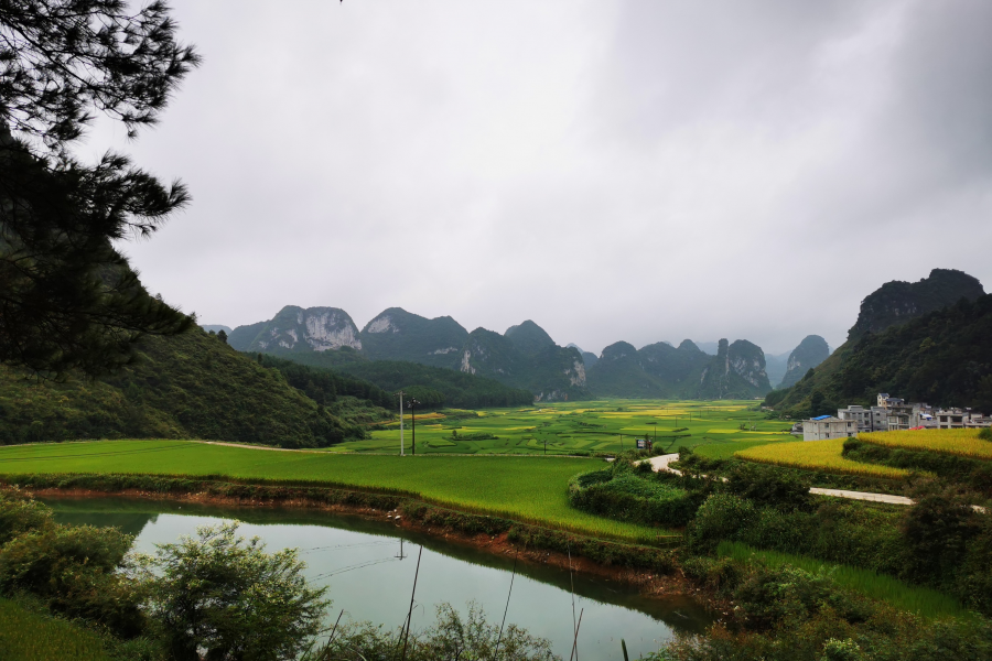 这边风景独好 - 靖西市·靖西网