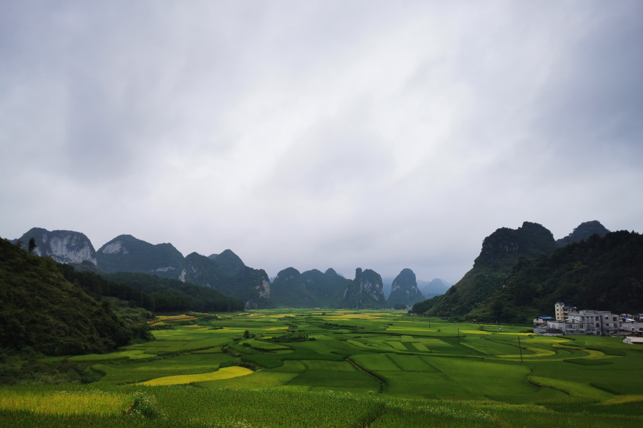 这边风景独好 - 靖西市·靖西网