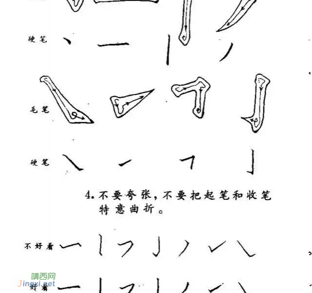 硬笔书法教程，内容丰富实用！ - 靖西市·靖西网