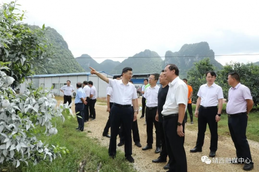 房灵敏到靖西开展疫情防控和脱贫攻坚工作调研 - 靖西市·靖西网