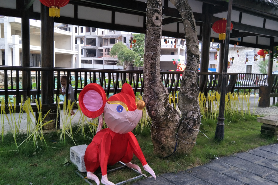 靖西最美花灯节，抢先版! - 靖西市·靖西网