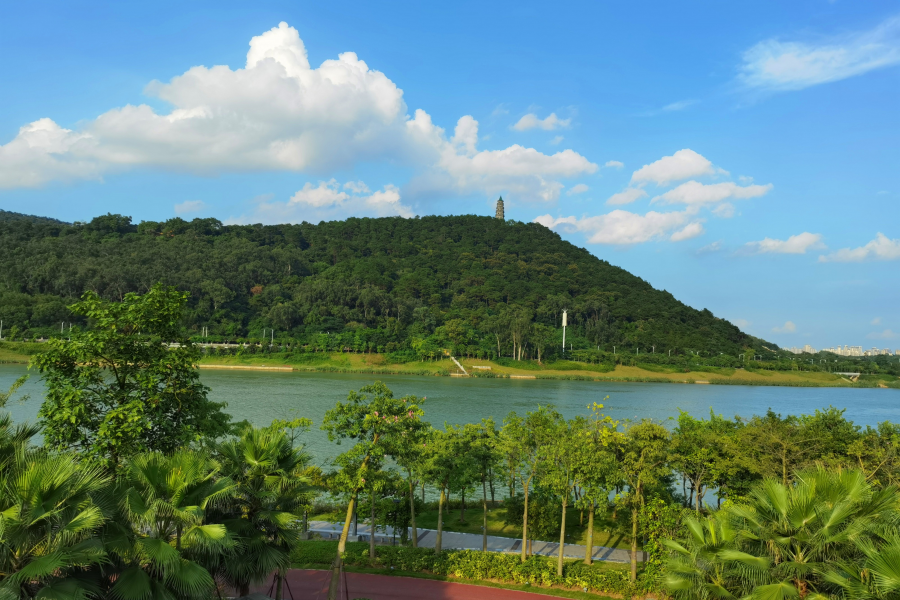广西靖西绿水青山常在,风景美如画--渠洋湖 - 靖西市·靖西网