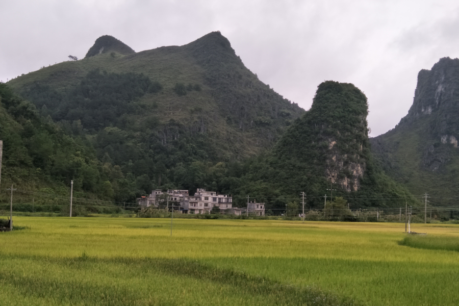 黄金周倒计时，巴泽现况。 - 靖西市·靖西网