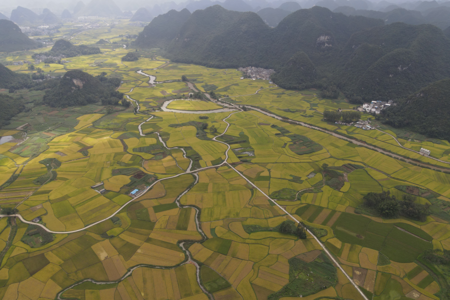 我家住在大山里，靖西那山旮旯里。 - 靖西市·靖西网