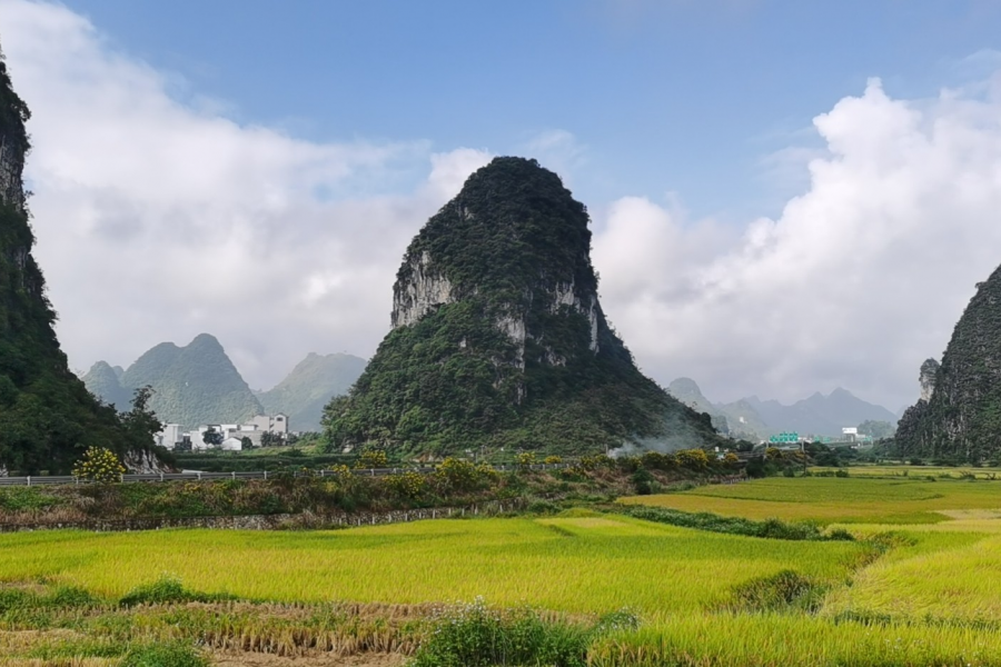 远离喧嚣，空气极好，国庆来靖西最好玩的地方---田野 - 靖西市·靖西网