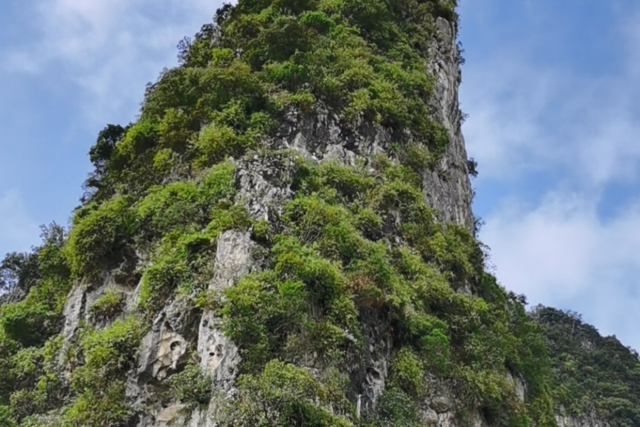 远离喧嚣，空气极好，国庆来靖西最好玩的地方---田野 - 靖西市·靖西网