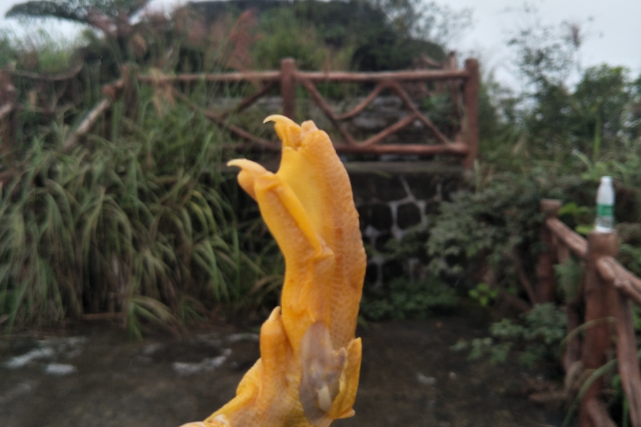 国庆节靖西约炮，这次爽到顶了！ - 靖西市·靖西网