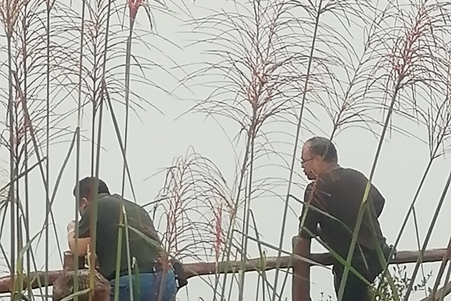 国庆节靖西约炮，这次爽到顶了！ - 靖西市·靖西网
