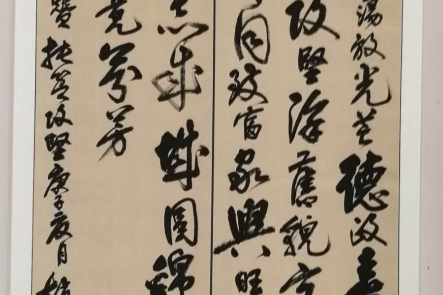 书展选登 - 靖西市·靖西网