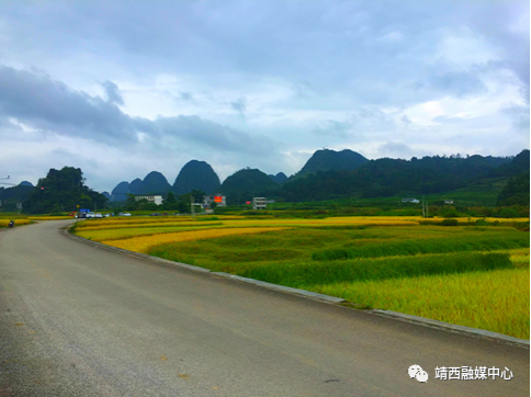 晚秋靖西，不容错过的景色 - 靖西市·靖西网