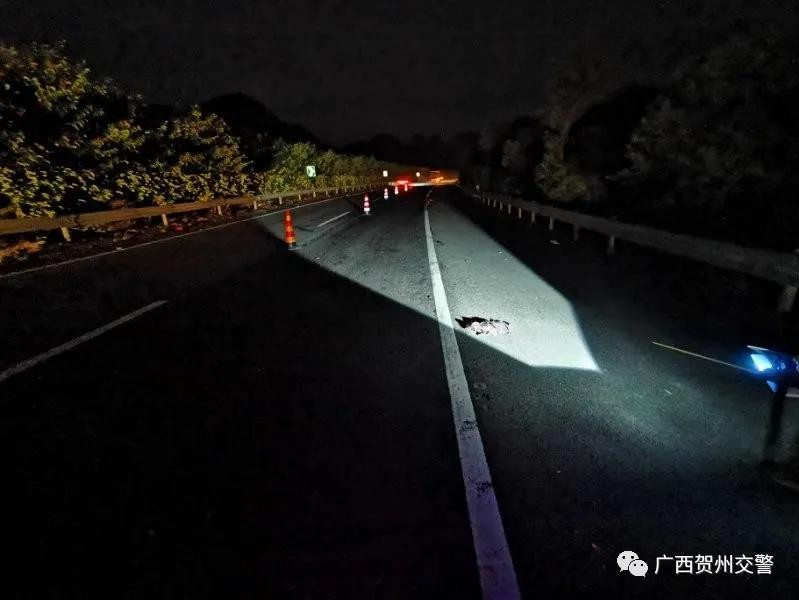 悬赏 | 10月2日包茂高速贺州路段1人被撞身亡！肇事车辆逃逸 - 靖西市·靖西网