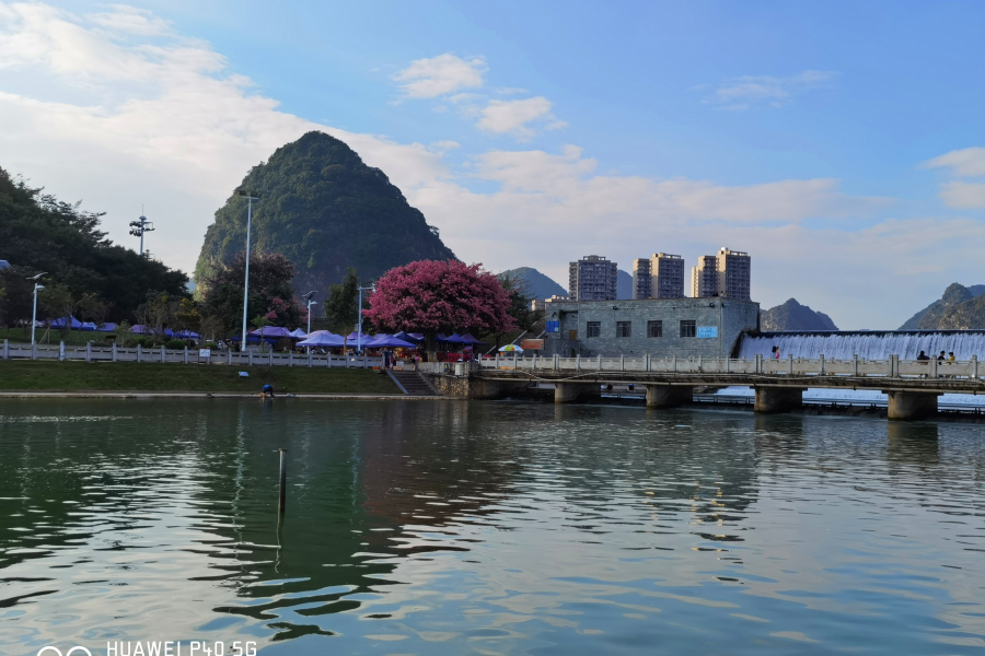 金秋十月，靖西龙潭湿地公园景色美 - 靖西市·靖西网