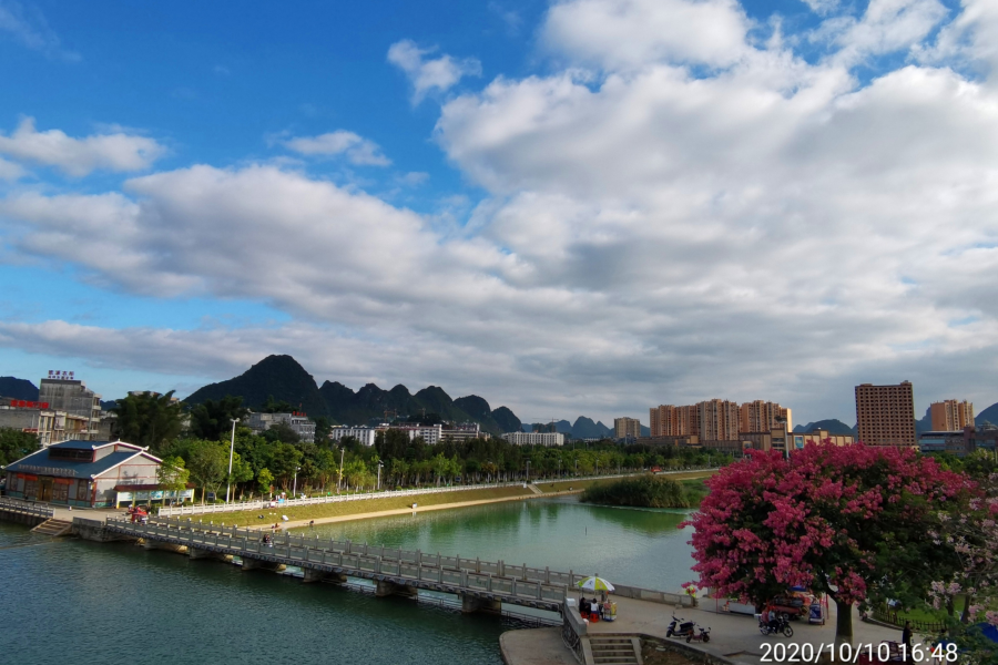 金秋十月，靖西龙潭湿地公园景色美 - 靖西市·靖西网