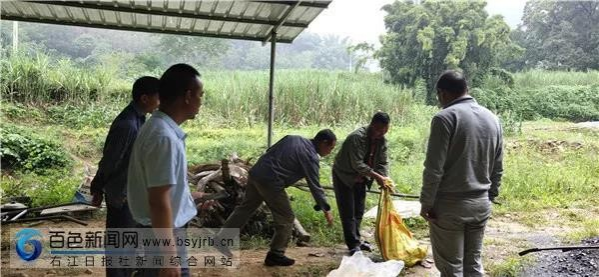 两条大蟒蛇进村觅食，田东林业局及时救助！ - 靖西市·靖西网