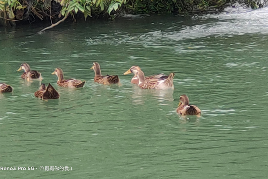 骑车试机 - 靖西市·靖西网