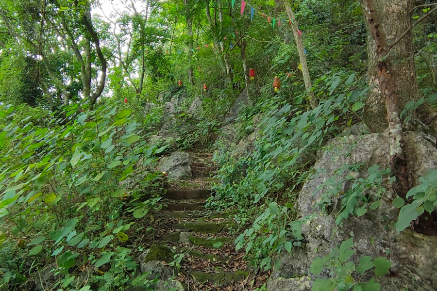 骑车试机 - 靖西市·靖西网