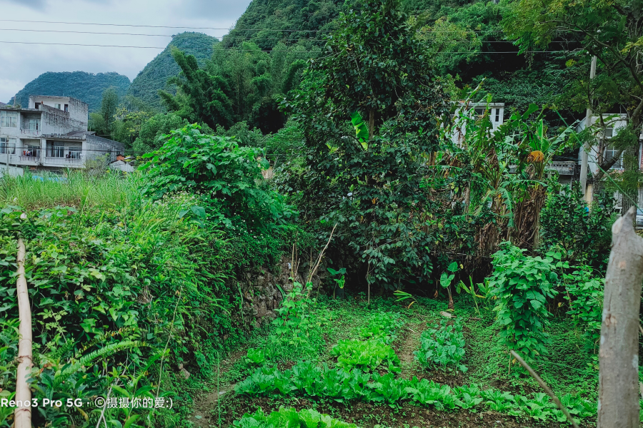骑车试机 - 靖西市·靖西网