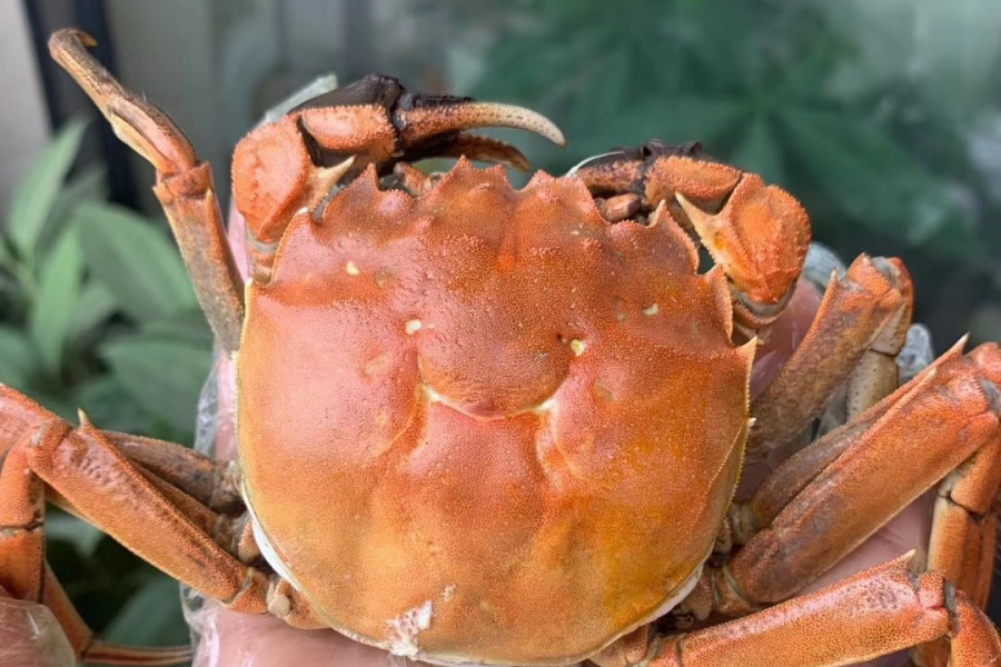 今晚一起共进晚餐吗 - 靖西市·靖西网