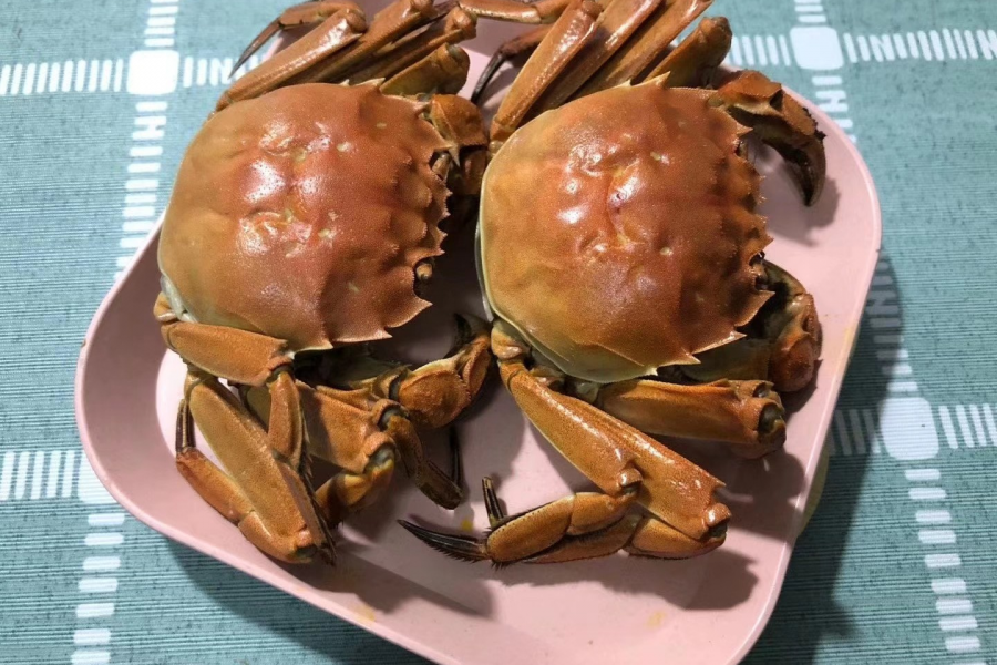 今晚一起共进晚餐吗 - 靖西市·靖西网