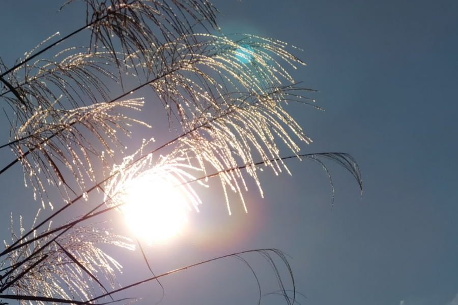 朗朗晴空，适合出游 - 靖西市·靖西网