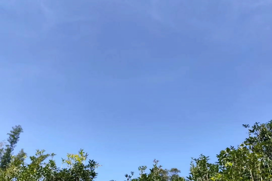 这种天气就适合葛优躺着晒太阳 - 靖西市·靖西网