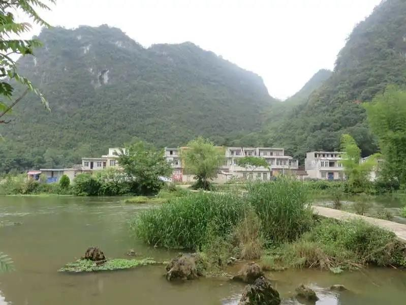 靖西这个屯获自治区“绿色村屯”荣誉称号，是你的家乡吗？ - 靖西市·靖西网