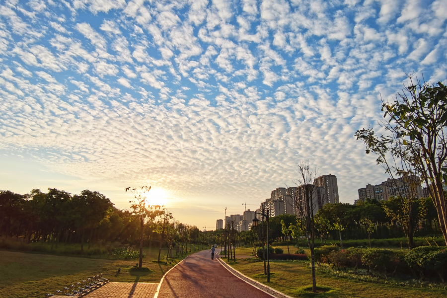 早上好！今朝霞光美。 - 靖西市·靖西网