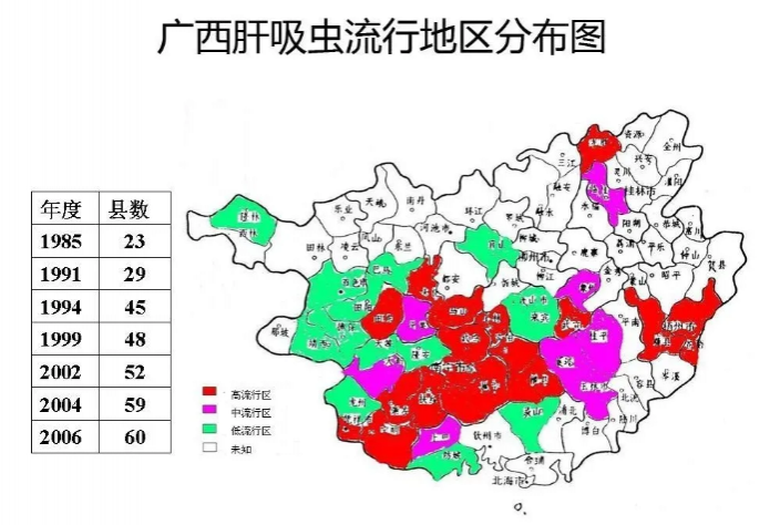 可怕！一男子亲眼看大量虫子从体内爬出！原来常吃这个...... - 靖西市·靖西网