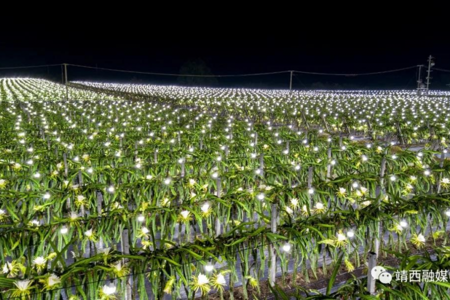 靖西：农网改造，乡村用电的华丽转身...... - 靖西市·靖西网