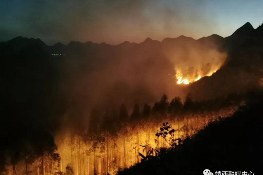 靖西市地州镇贺峒村发生森林火灾，应急救援大队出警救援...... - 靖西市·靖西网