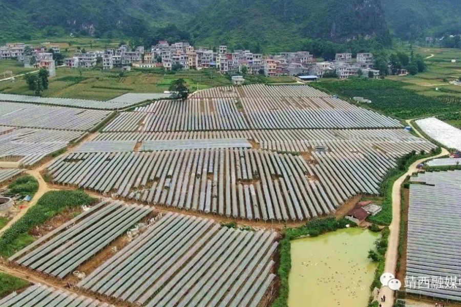 这些单位集中力量 因村施策帮助靖西 - 靖西市·靖西网