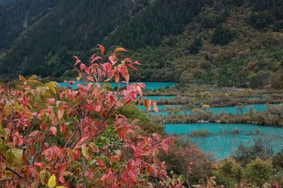 秋天拍什么风景最美呢？ - 靖西市·靖西网