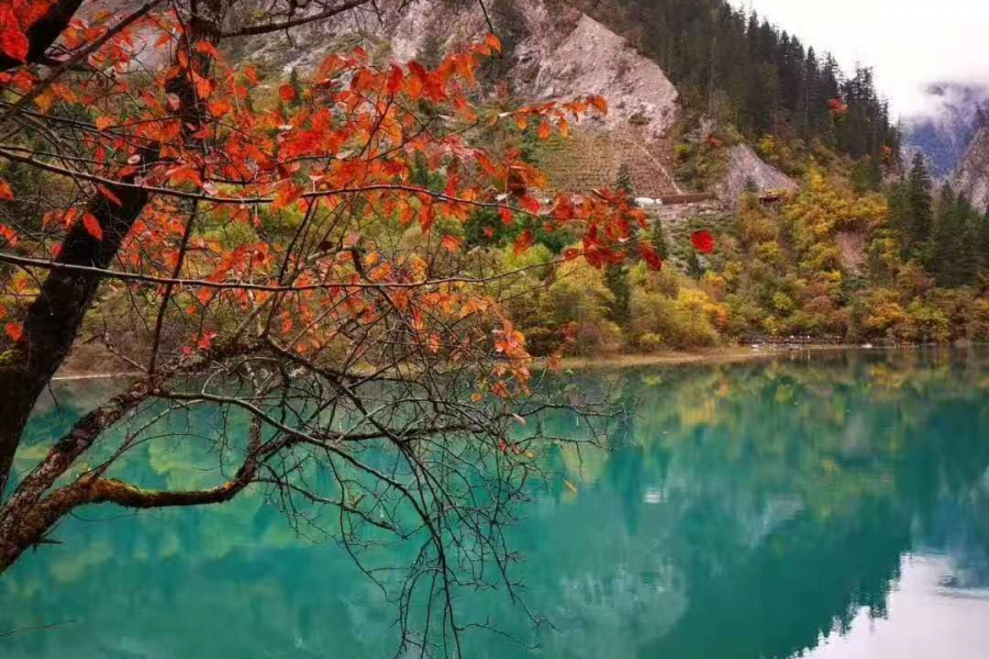 秋天拍什么风景最美呢？ - 靖西市·靖西网