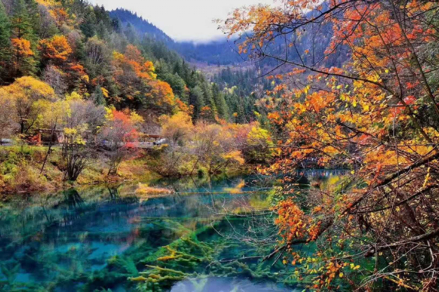 秋天拍什么风景最美呢？ - 靖西市·靖西网