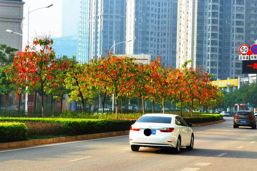 秋天拍什么风景最美呢？ - 靖西市·靖西网