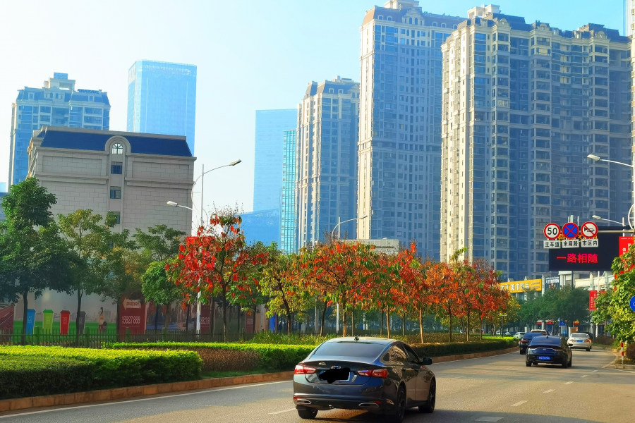 秋天拍什么风景最美呢？ - 靖西市·靖西网