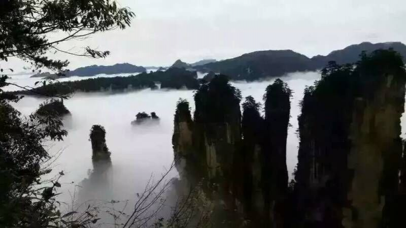 和同事的张家界上山下海游记 - 靖西市·靖西网