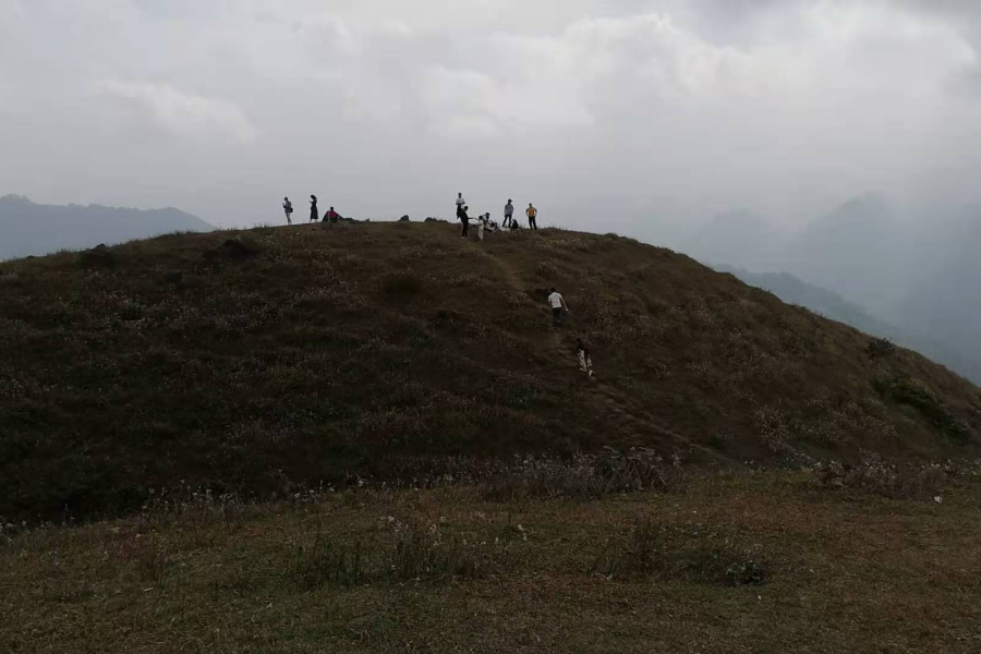 靖西乌鸦山，一个拼人品的打卡景点 - 靖西市·靖西网