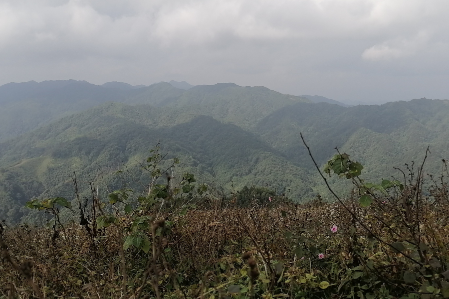 靖西乌鸦山，一个拼人品的打卡景点 - 靖西市·靖西网