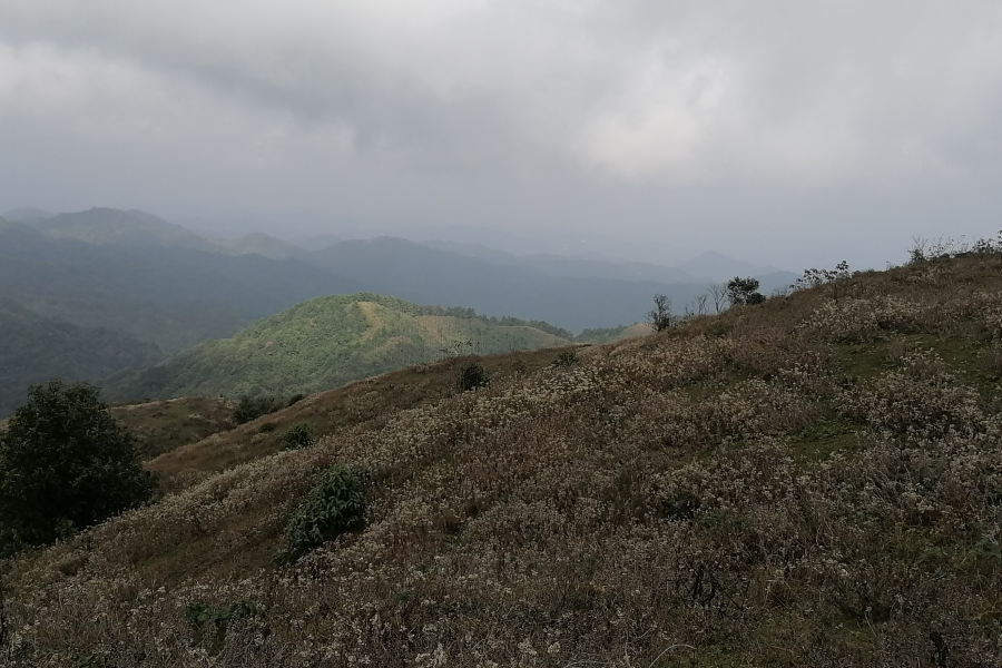 靖西乌鸦山，一个拼人品的打卡景点 - 靖西市·靖西网