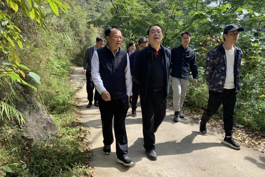 漓江画派靖西行，绘出靖西秀美风光 - 靖西市·靖西网