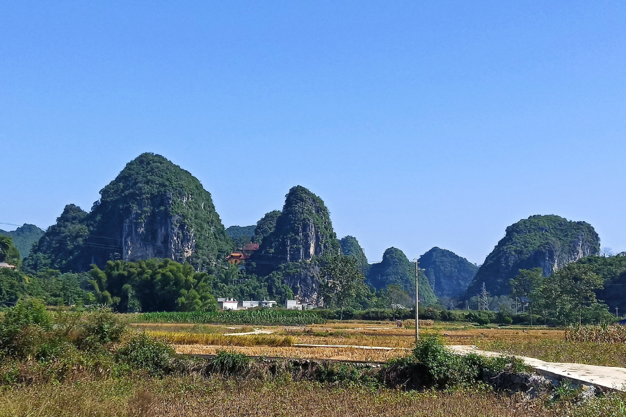 漓江画派靖西行，绘出靖西秀美风光 - 靖西市·靖西网
