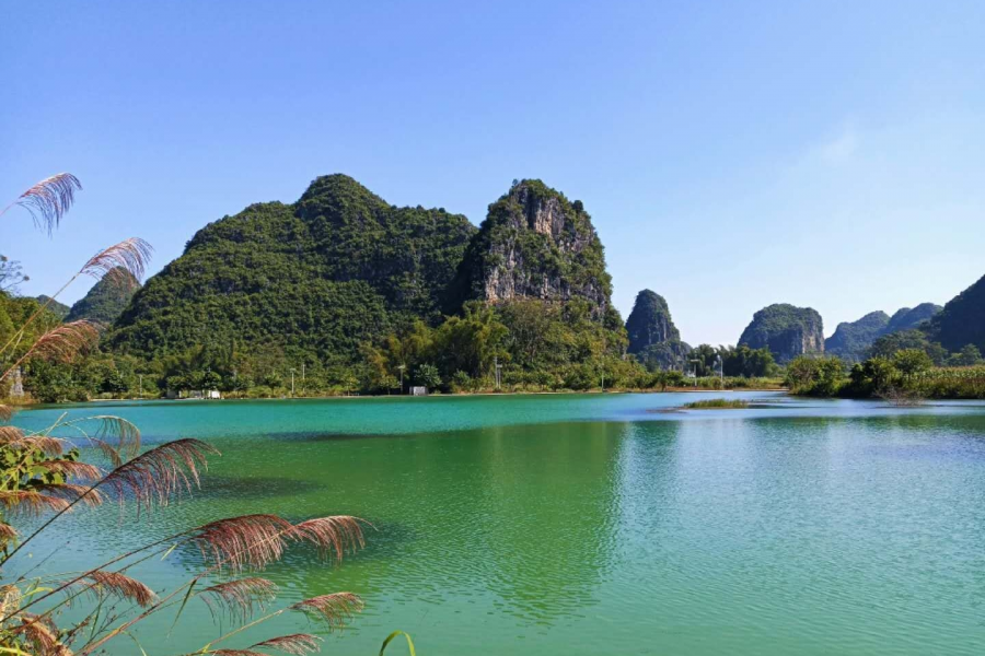 漓江画派靖西行，绘出靖西秀美风光 - 靖西市·靖西网