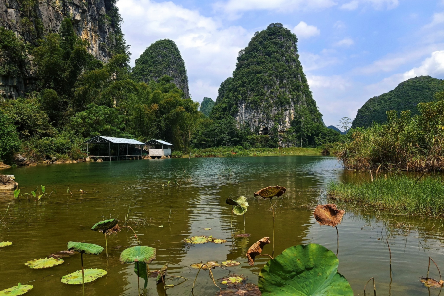 漓江画派靖西行，绘出靖西秀美风光 - 靖西市·靖西网