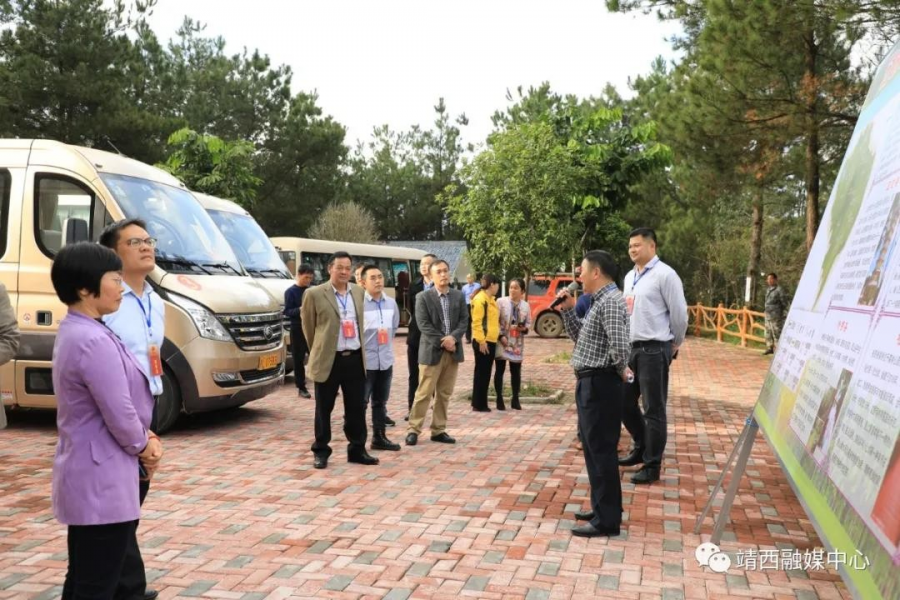百色市、靖西市两级人大代表联合到靖西开展年终视察 - 靖西市·靖西网