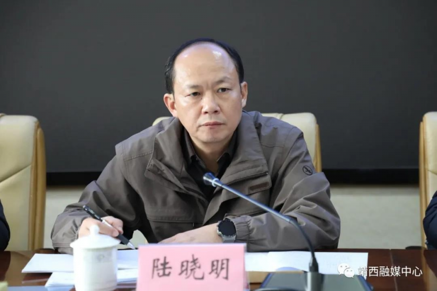 广西壮族自治区交通运输厅到靖西开展“四建一通”项目调研 - 靖西市·靖西网