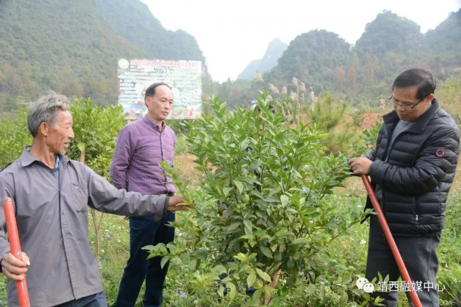 靖西市驻村扶贫工作队员吴靖：心沉一线 服务群众 - 靖西市·靖西网