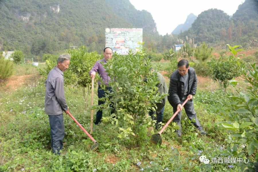 靖西市驻村扶贫工作队员吴靖：心沉一线 服务群众 - 靖西市·靖西网