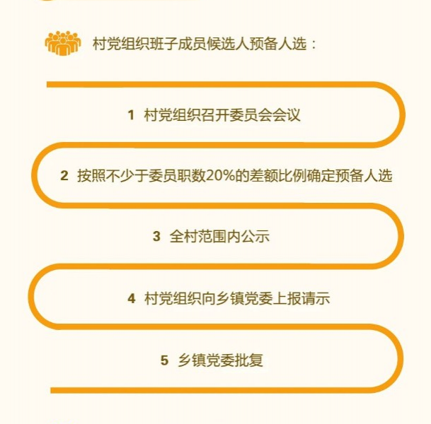 一图读懂村“两委”换届工作总体要求 - 靖西市·靖西网